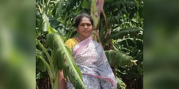 Organic farming techniques tamilnadu