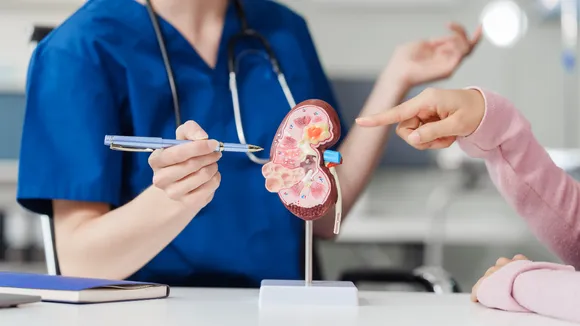 kidneys