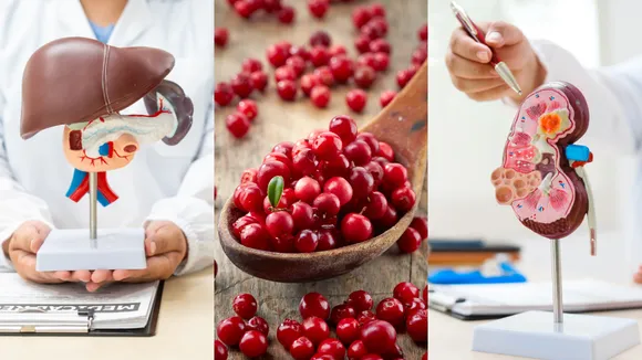 Cranberry