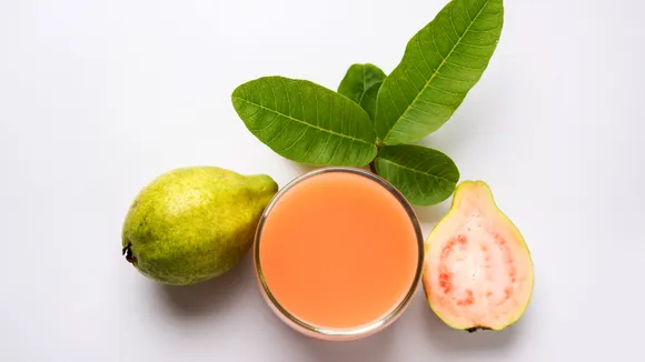 Guava Leaves Tea