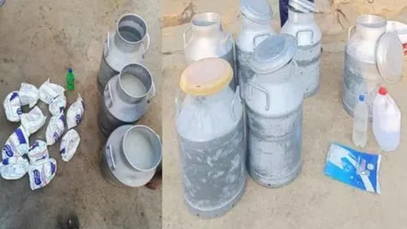 adulterated milk