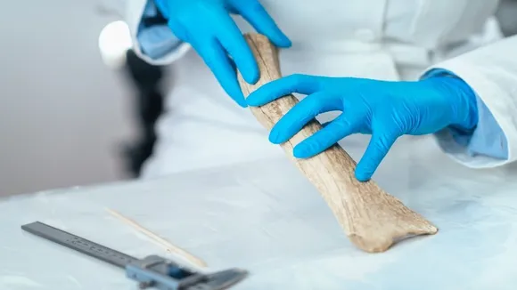 bone