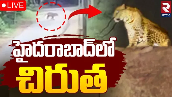 leopard in Hyderabad