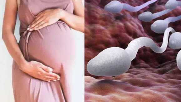 sperm