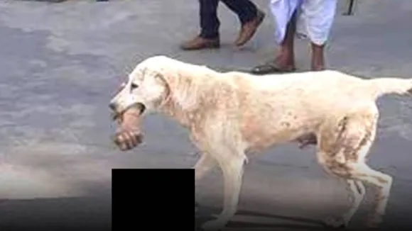 karnataka