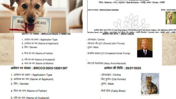 bihar fake residence application