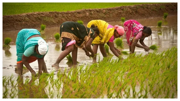 women farmers india