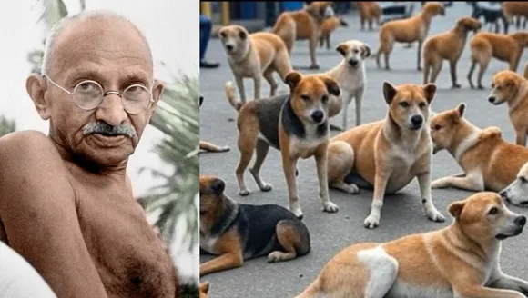 Delhi in Stray Dogs