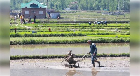 agriculture