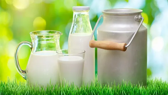 milk
