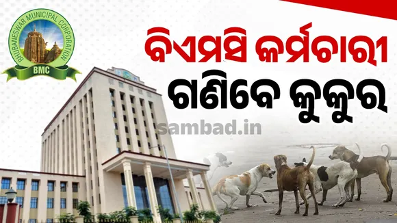 BMC to count dogs from September