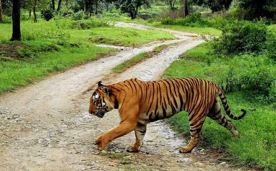 kerala
