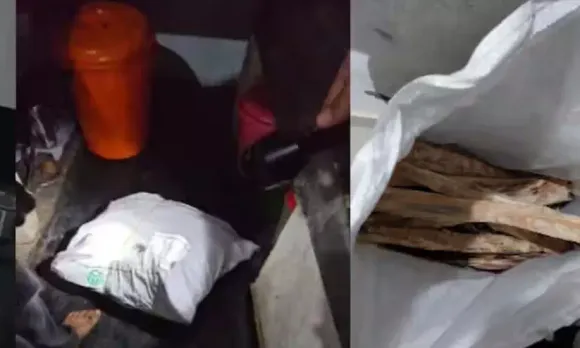 2408241-untitled-2-copy