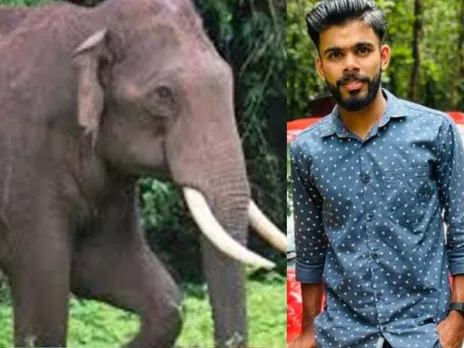 elephant attack1
