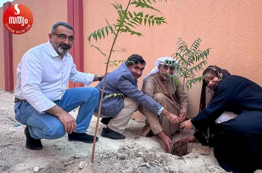 tree plantation