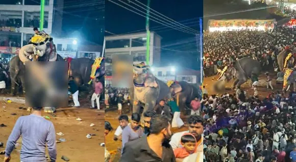 tirur-elephant