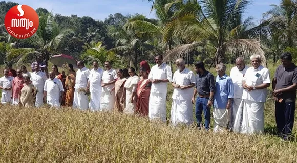 meenachil gramapanchayath harverst