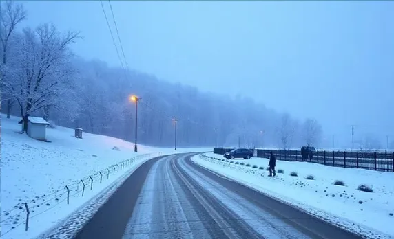 cold Untitledrail
