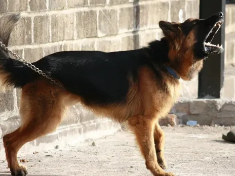 The man and his family sustained injuries during the attack