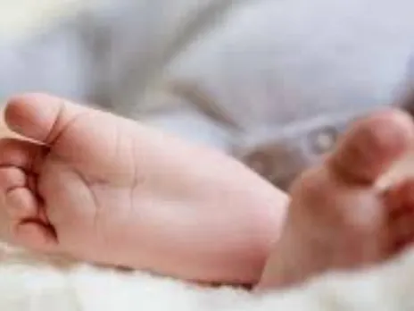 new born baby11