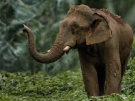 ezhattumugham ganapathy