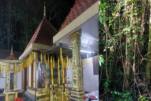 bhagavathi kav idathitta