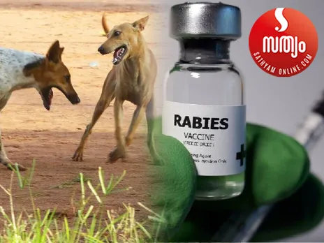 rabis vaccine
