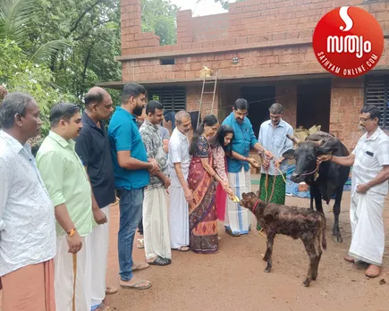 cow and calf given to ananthakrishnan