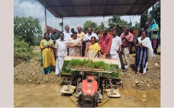 planting using a sapling