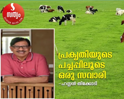 hassan thikodi article