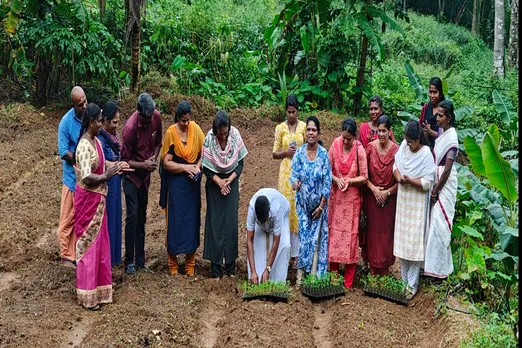 bandhi krishi