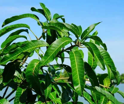 f8f9e27e-e5ec-408b-9119-26b3917bbcb3