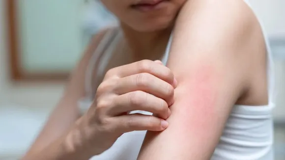 dd114504-cbdf-409e-93dc-67b93d70b762 (1)