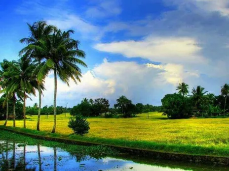 images(980)KUTTANADAN NATURE BEAUTY