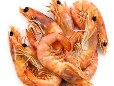 b0769db7-61b2-4edb-8fe4-91eb5240e745