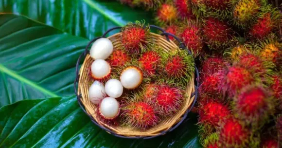 rambutan-jpg