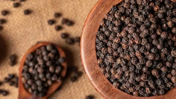 4f1919f7-27dc-4a9f-bb50-8658df5a68f8 (1)