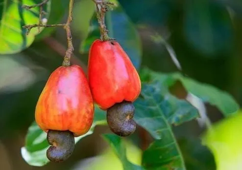 98909575-14fc-4503-b07d-e27933a1c108 (1)