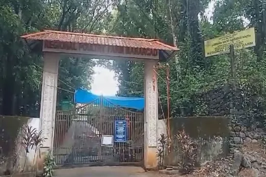 mannarkkad kolzhi farm