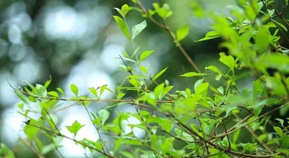 9bba6851-c08f-42b0-81ef-57691011ba59 (1)