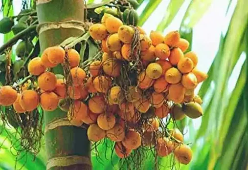 a9584632-5e66-4867-8c4d-465dbf670fcd