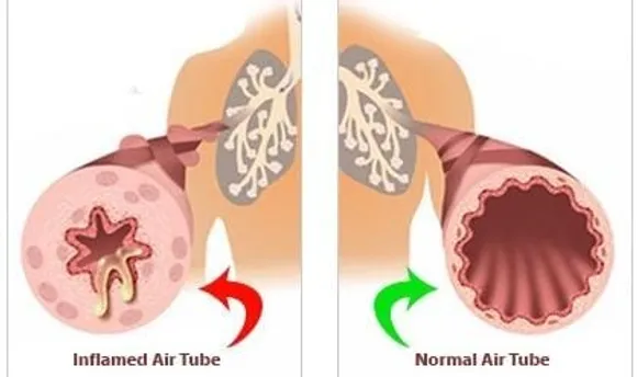 39e9b7c7-5aa8-4d43-8a2d-582d3648d556