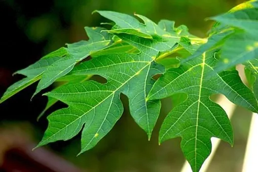 508da0df-dfe2-48f4-8c78-227ffa122023