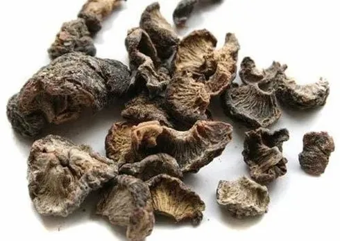 eef0723f-7886-4986-a54e-36841b2e08b0