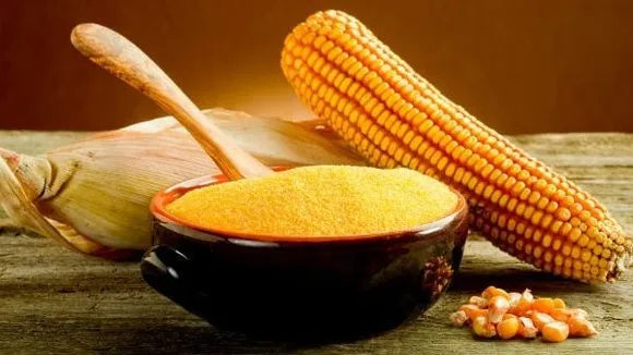 f53ab879-7121-4d71-b235-666b2934557a