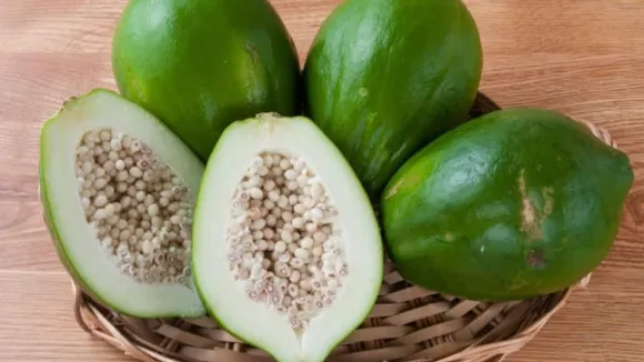 9f14386d-66b1-4d9f-a95c-8917c644acb8 (1)