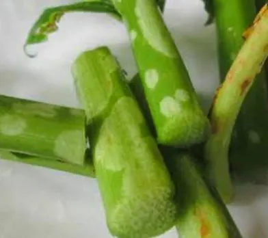 7cf5ea7c-e5d7-4ccd-bec7-d443ad768ebd