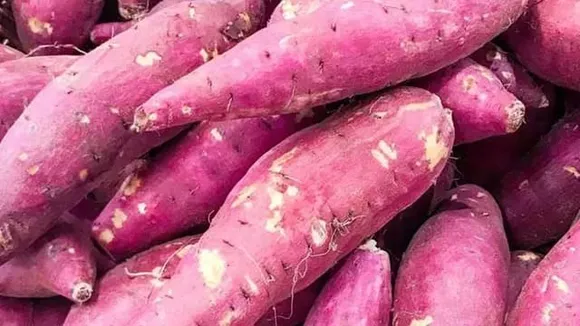 54d6028f-ea58-442c-bc67-ea8d54389f8c (1)