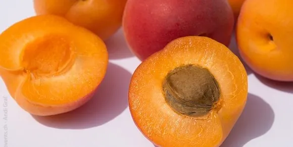 b54dd96c-b1cd-42a4-83c3-3c07bc109979 (1)