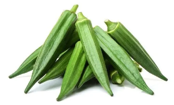 cd99de79-f62a-432c-95c1-2fc97eed3098